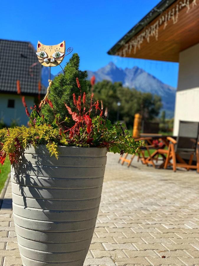 Villa Zoja High Tatras Стара-Лесна Экстерьер фото